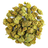 Biscotti Cake - 28 Grams (Hybrid)