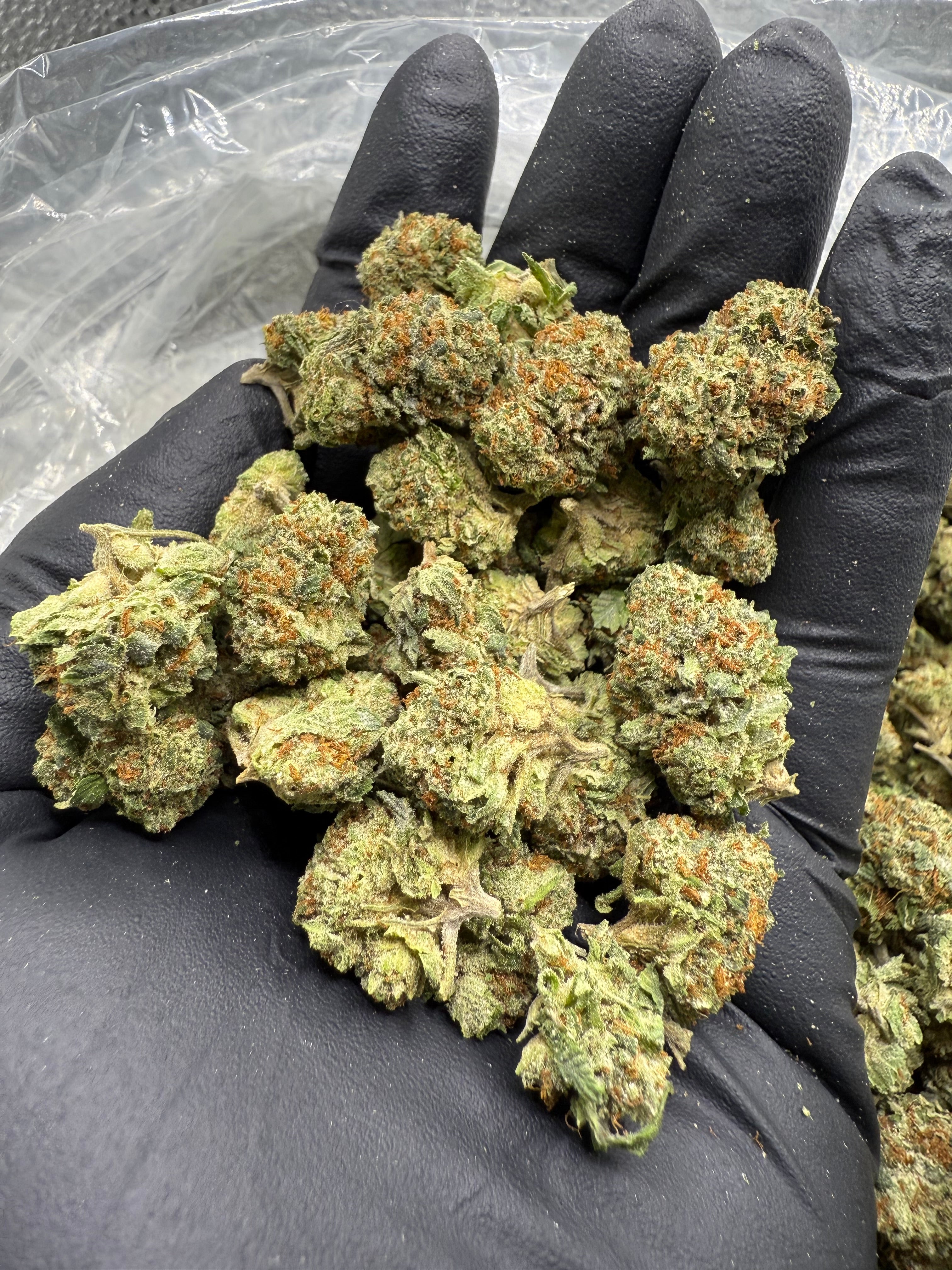 Gummiez  - Bulk Mediums - Hybrid