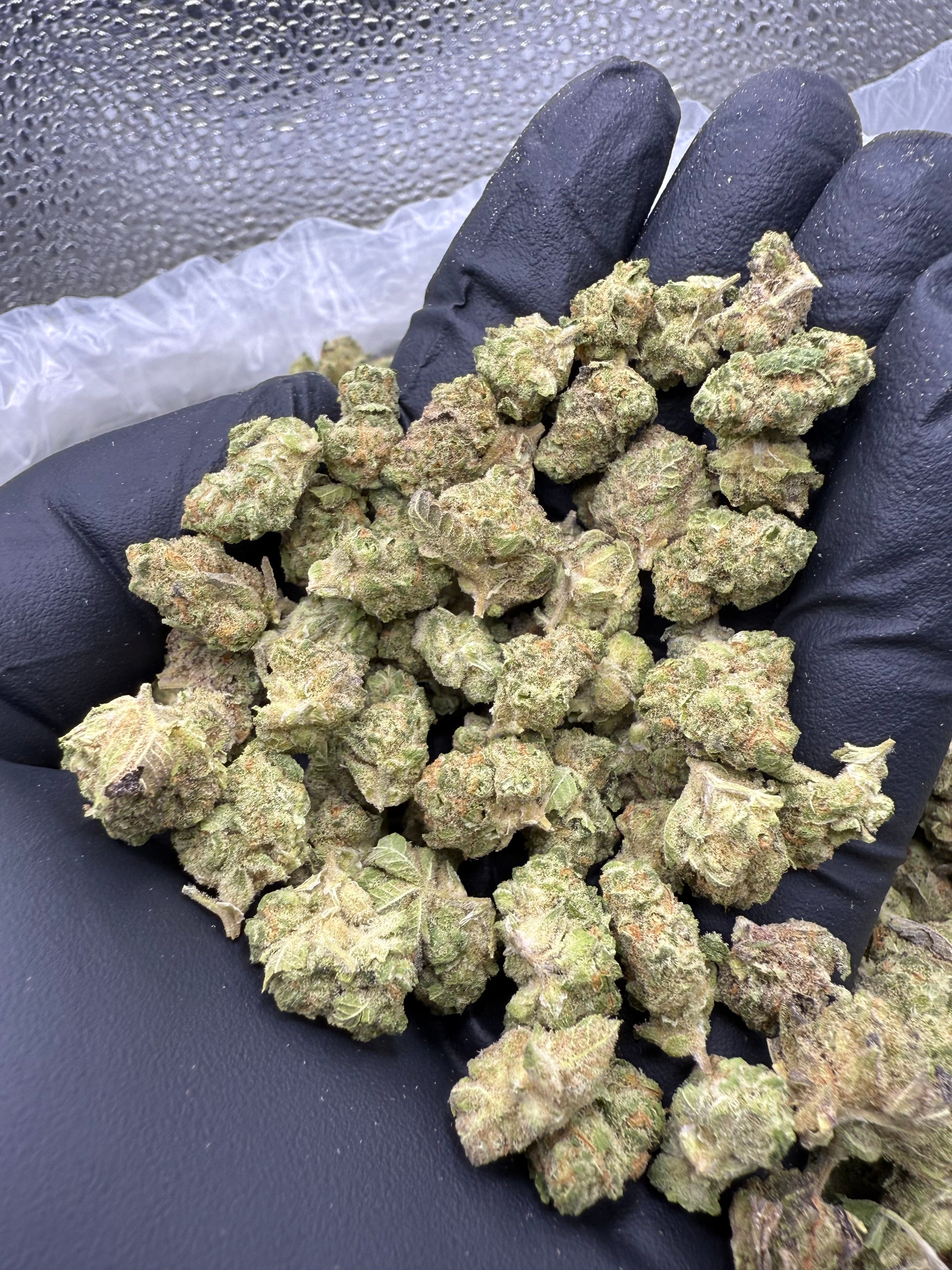 Dip N' Stix - Bulk Littles - Hybrid