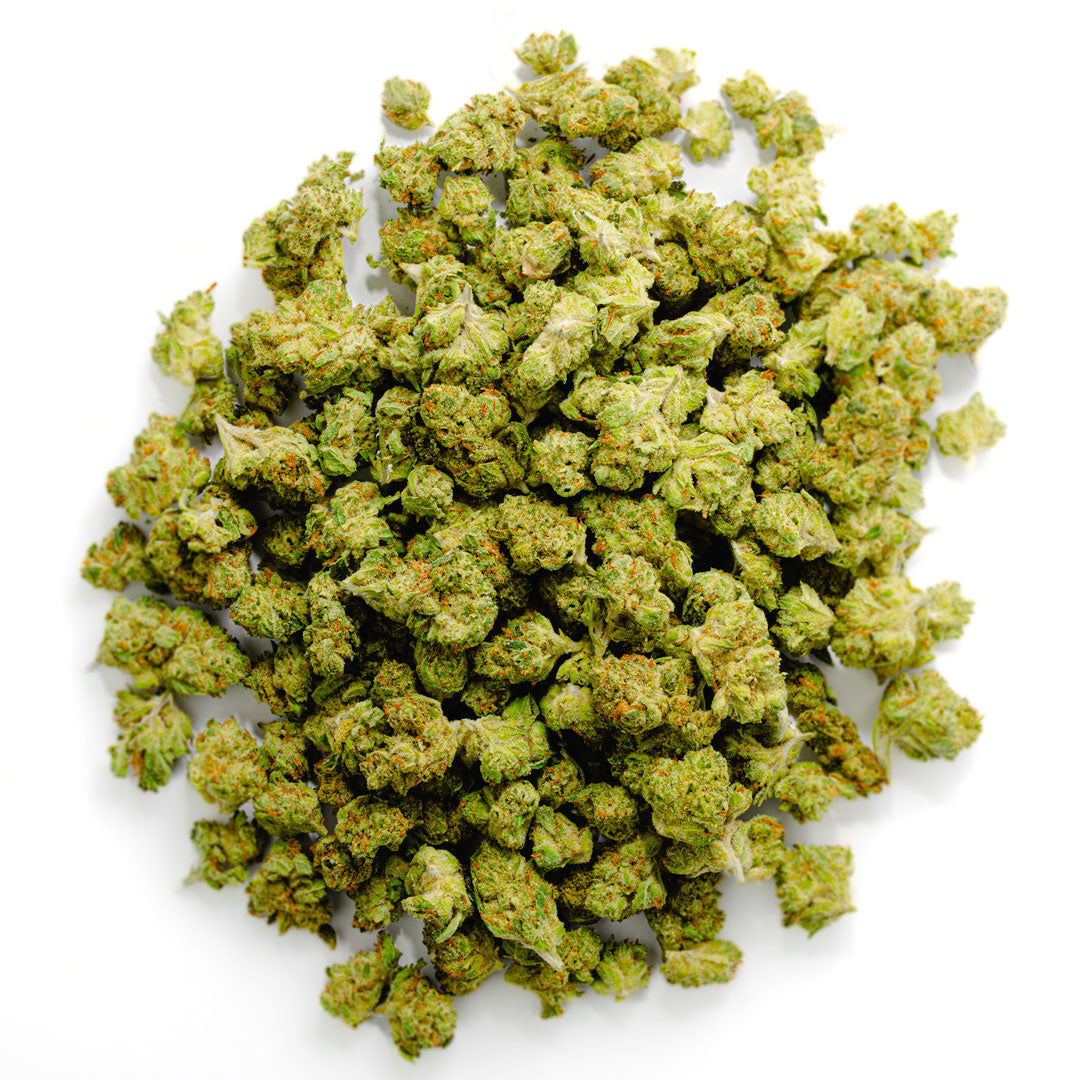 Gary Payton - 14 Grams - Minis (Hybrid)