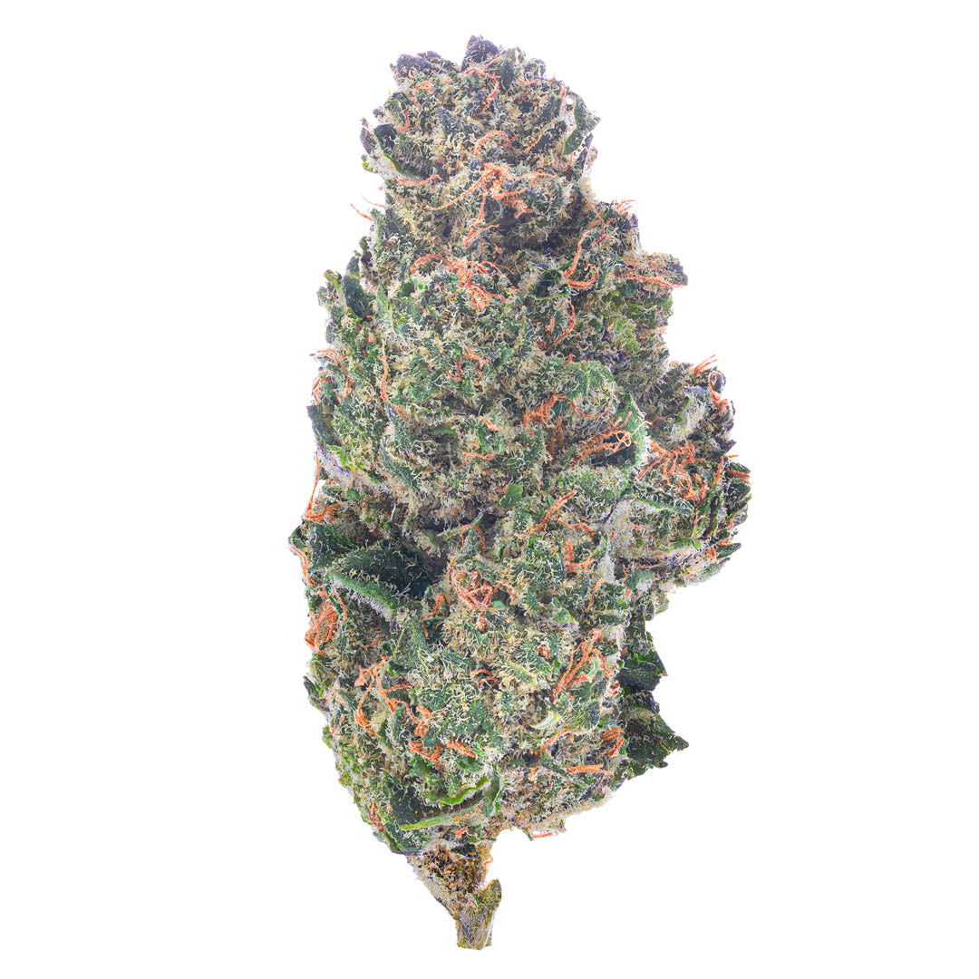 Key Lime Jack - 28 Grams (Sativa)