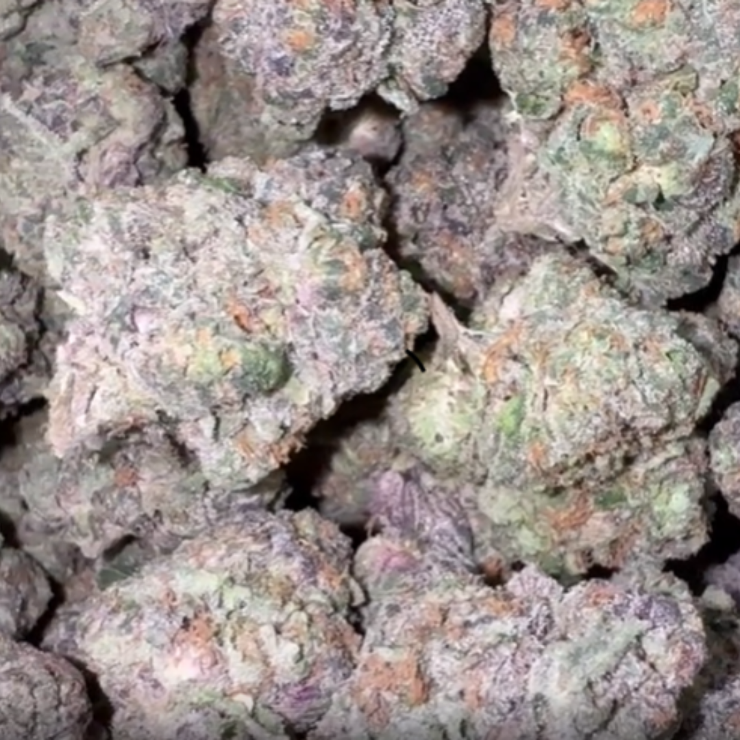 Sherblato - Bulk - Hybrid