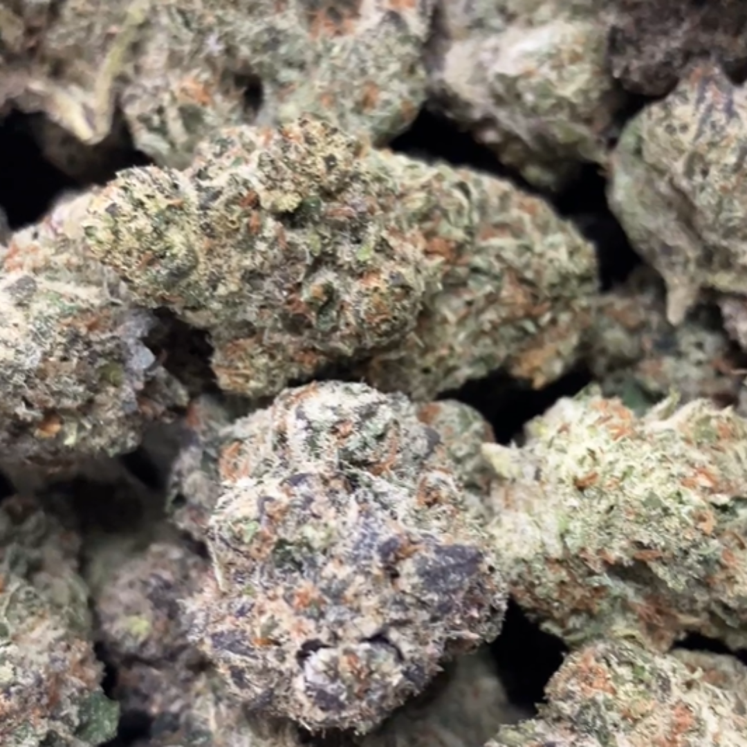 Zoapz - Bulk - Indica