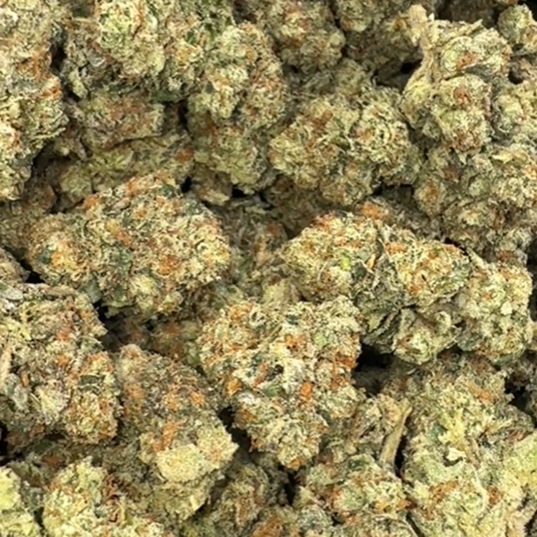 Heir Heads - Bulk - Indica