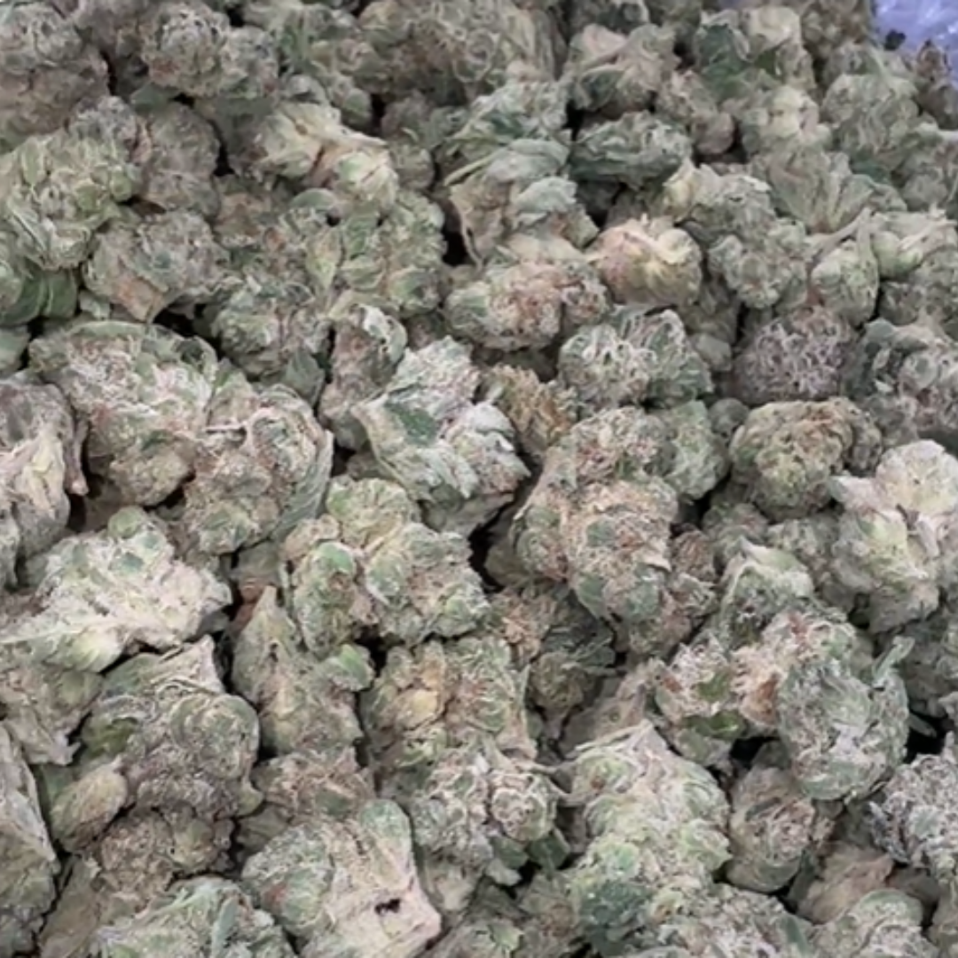 Strawberry Cough Minis - Bulk - Minis (Sativa)