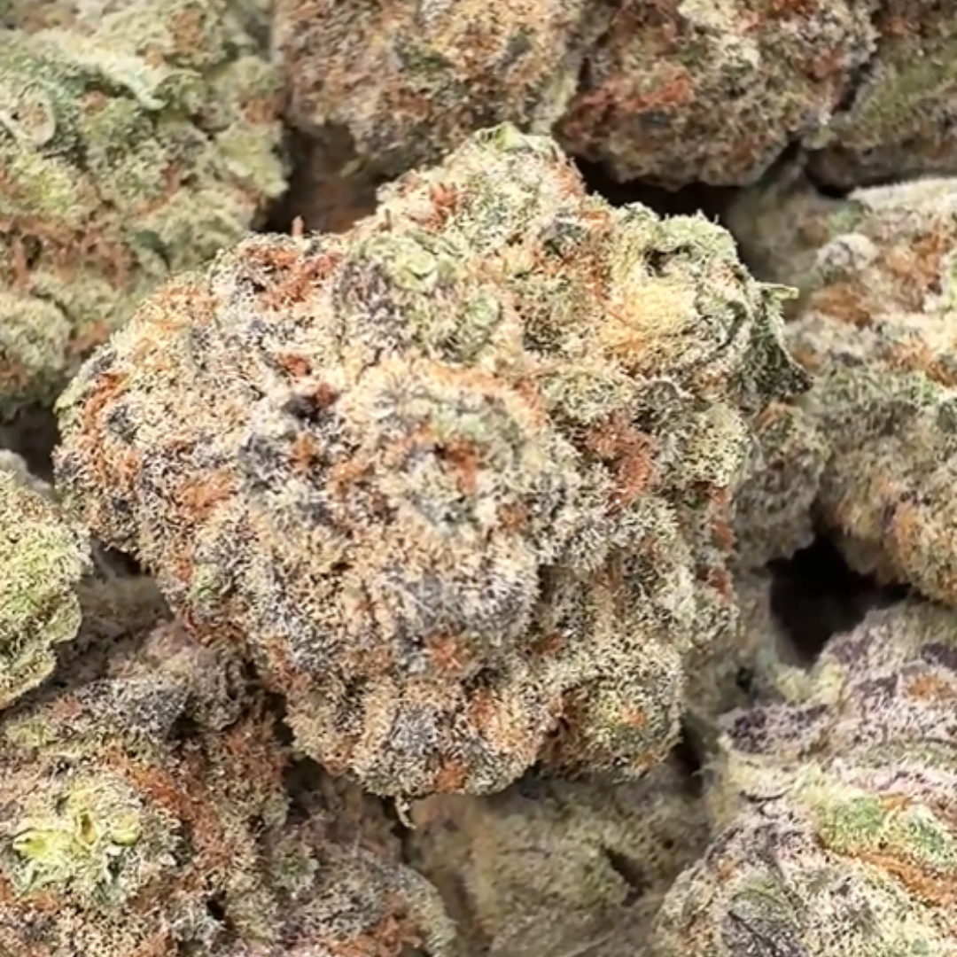 Blueberry Syrup - Bulk - (Indica)