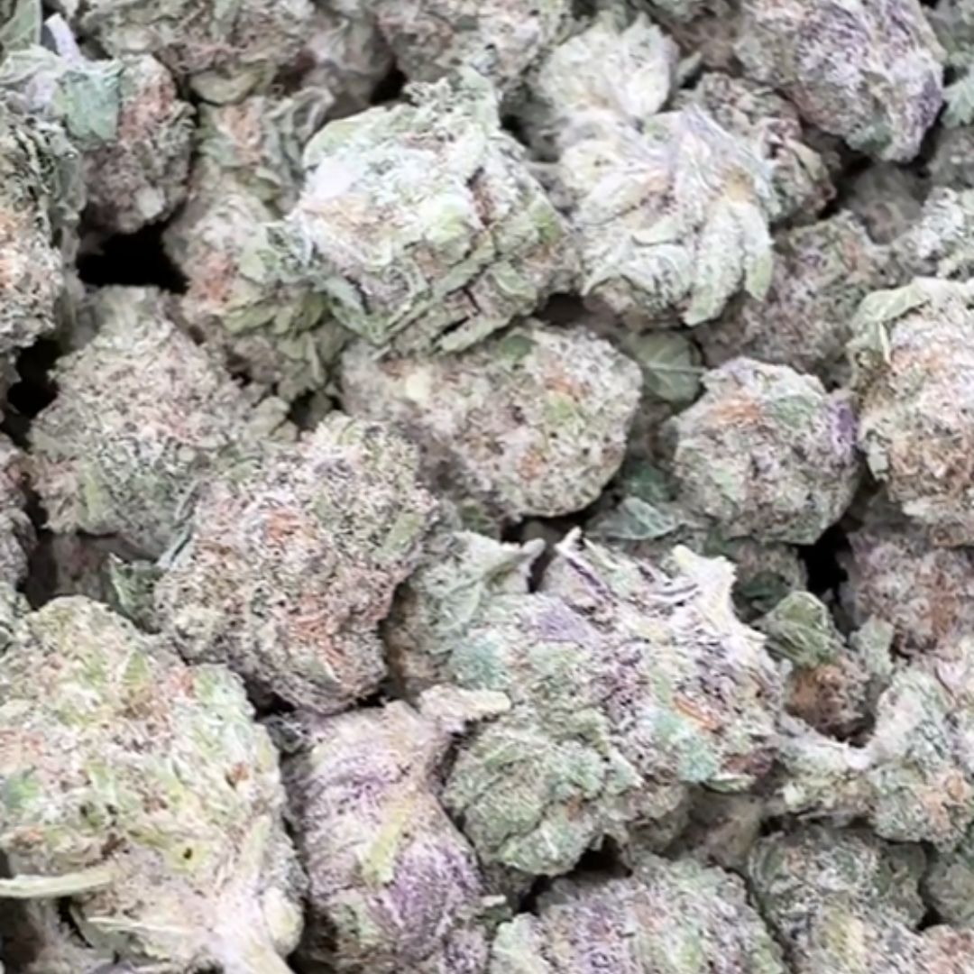 Blueberry Lemon Bars Minis - Bulk Minis - Hybrid