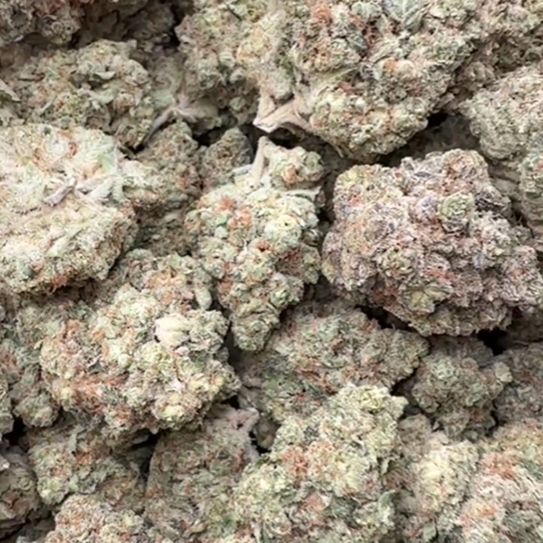 Sugar Cookies - Bulk - Indica