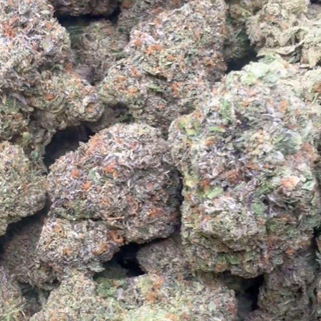 White Biscotti - Bulk - Indica