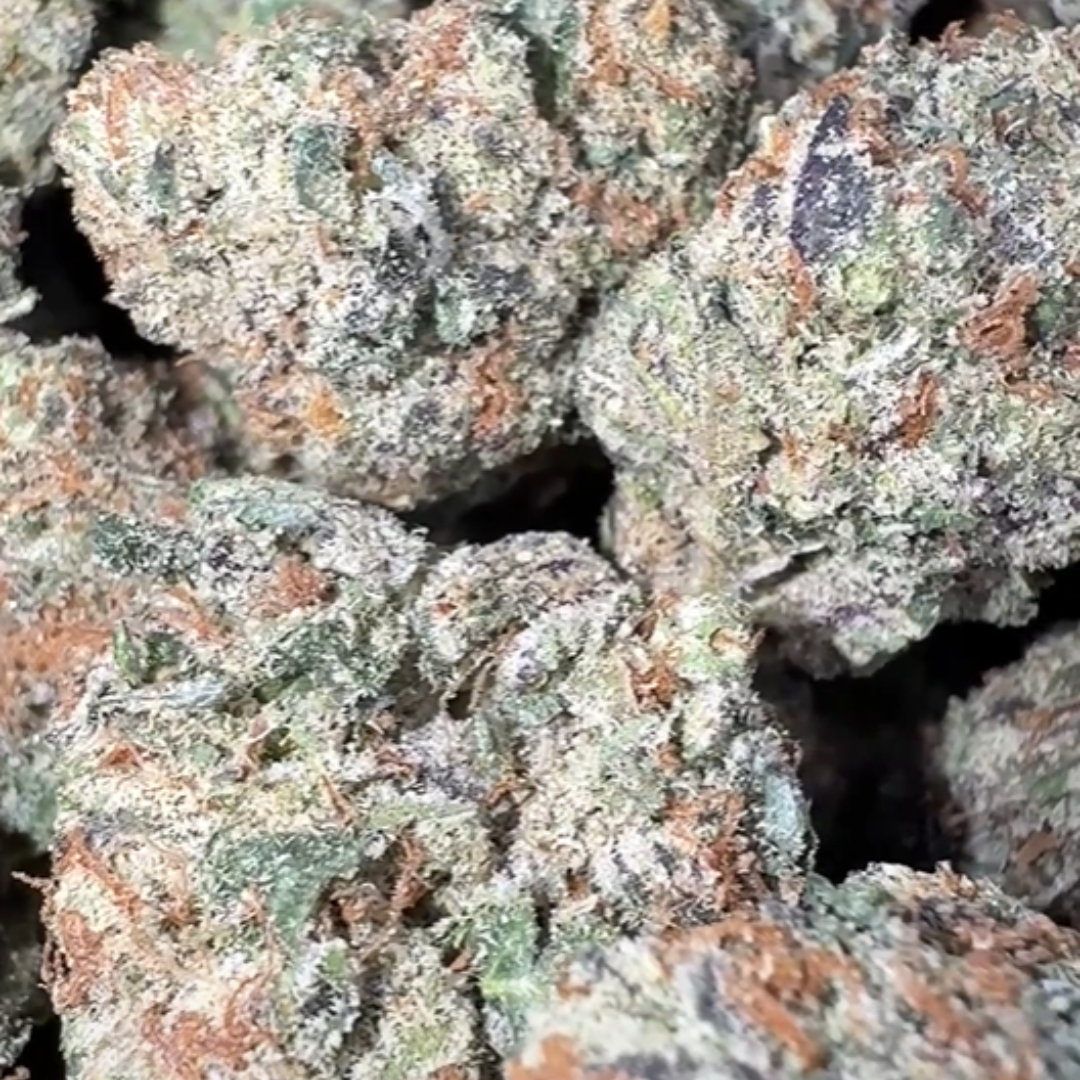 Icy Pop - Bulk Mediums - Hybrid