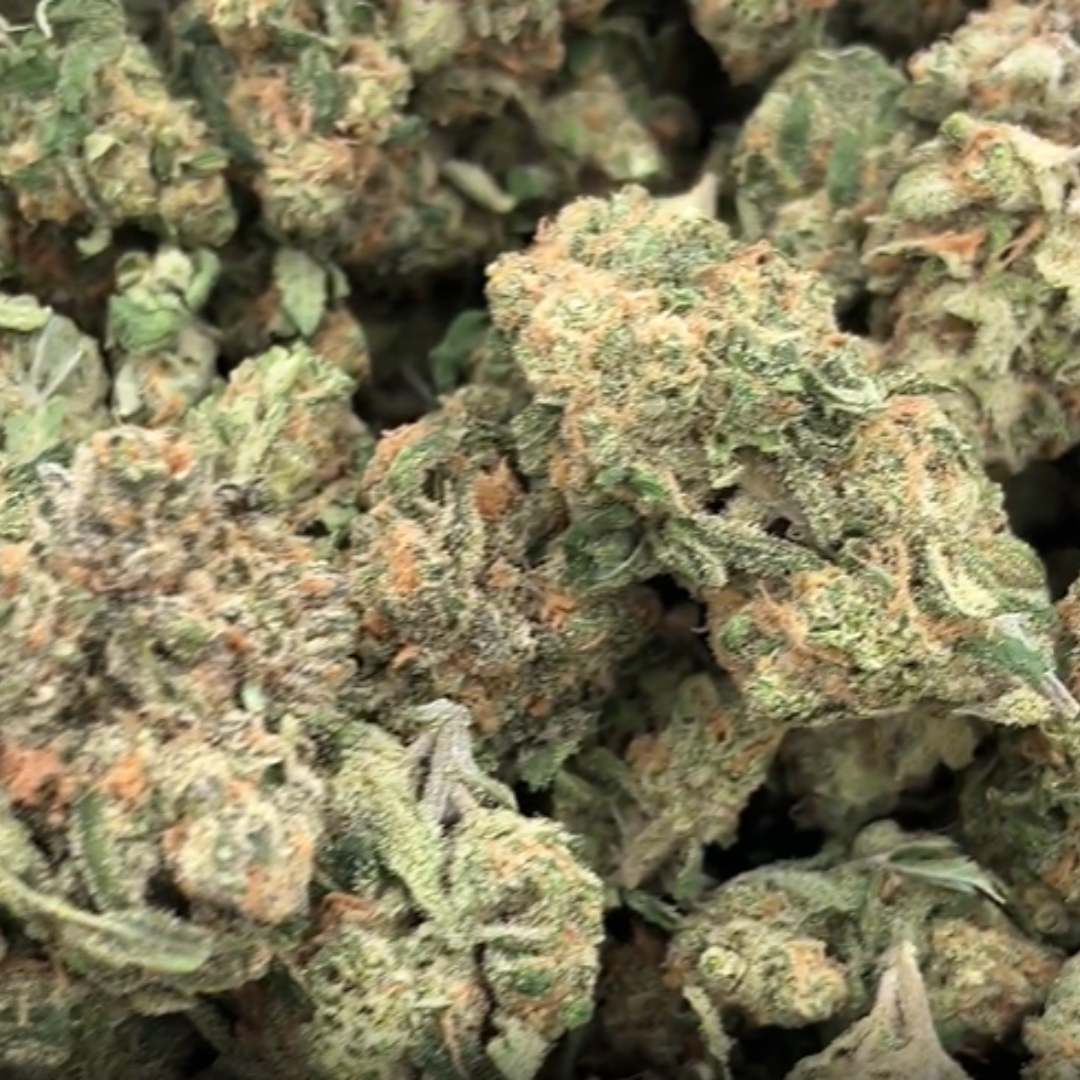 Blue Dream - Bulk - (Sativa)