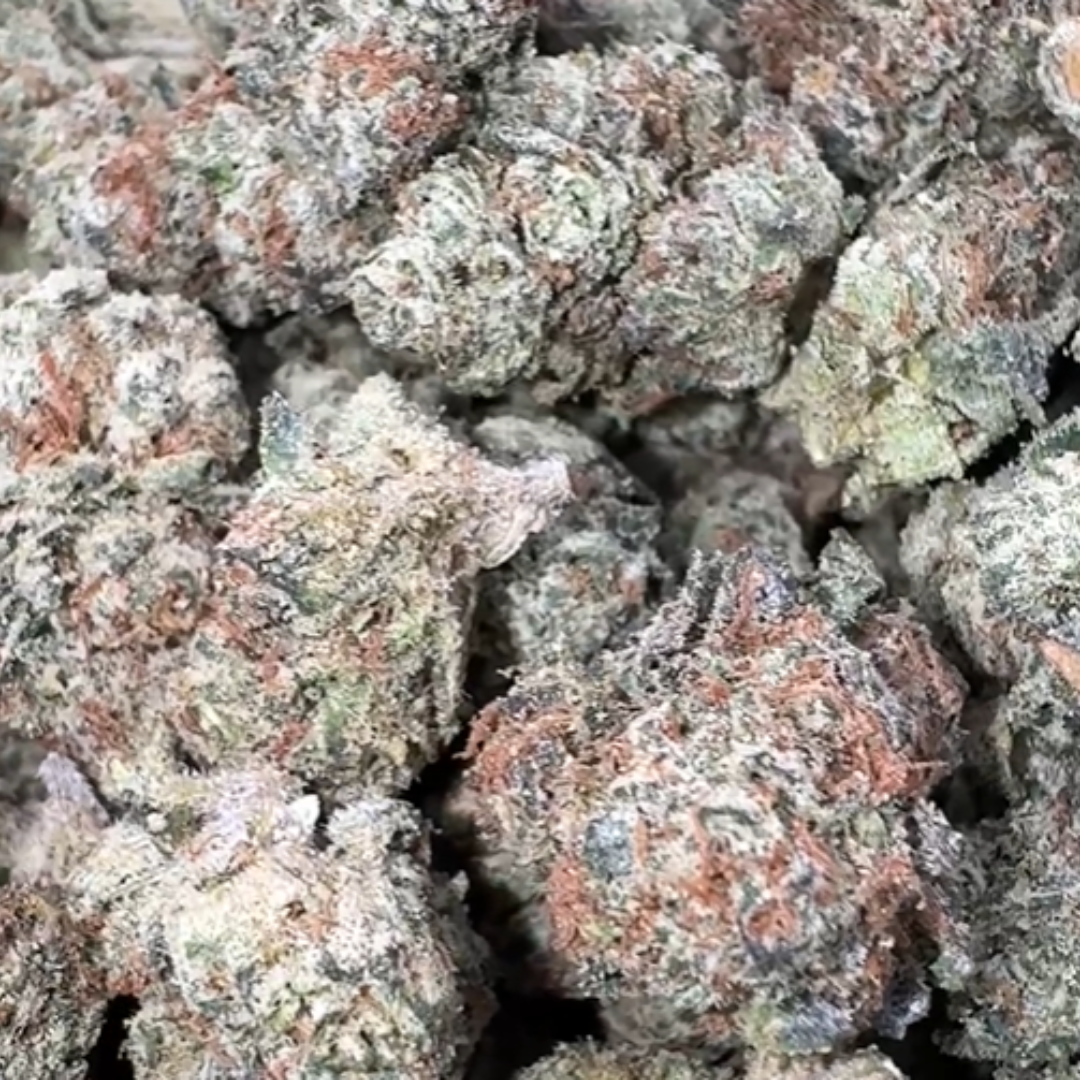 Candy Gas - Bulk Mediums - Hybrid