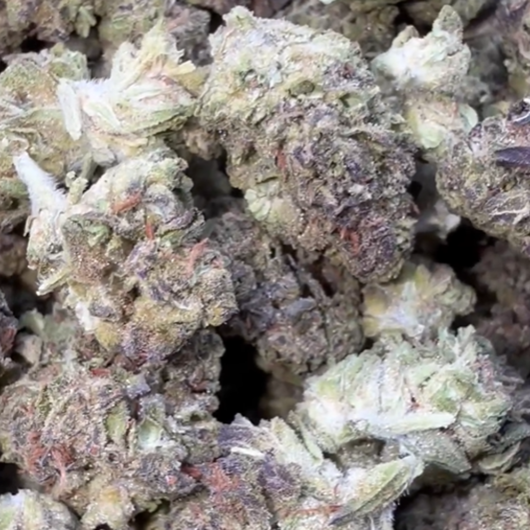 Han Solo Burger Littles - Bulk Littles - Indica