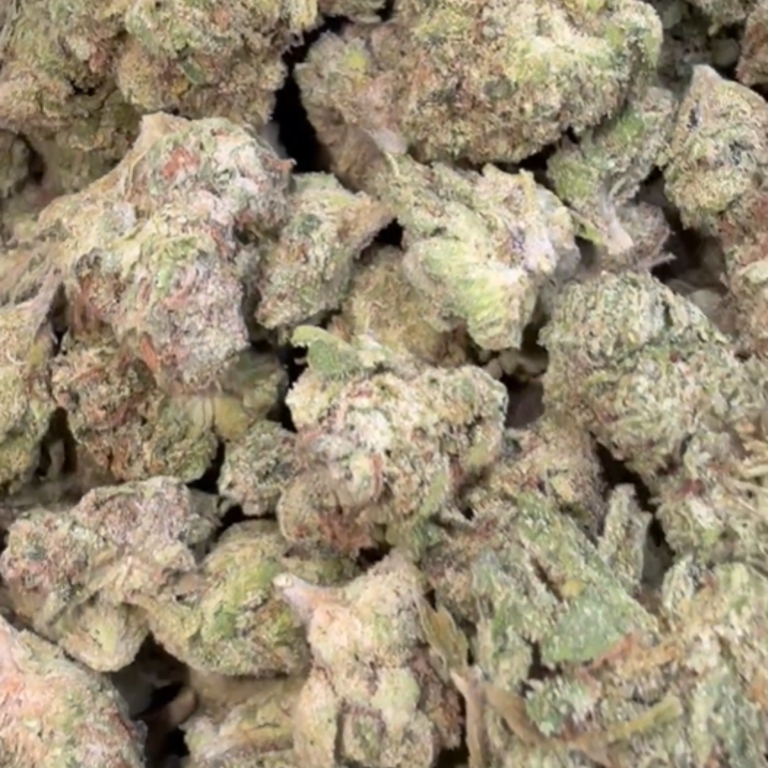 Lemon Kush Littles - Bulk Indoor - Hybrid