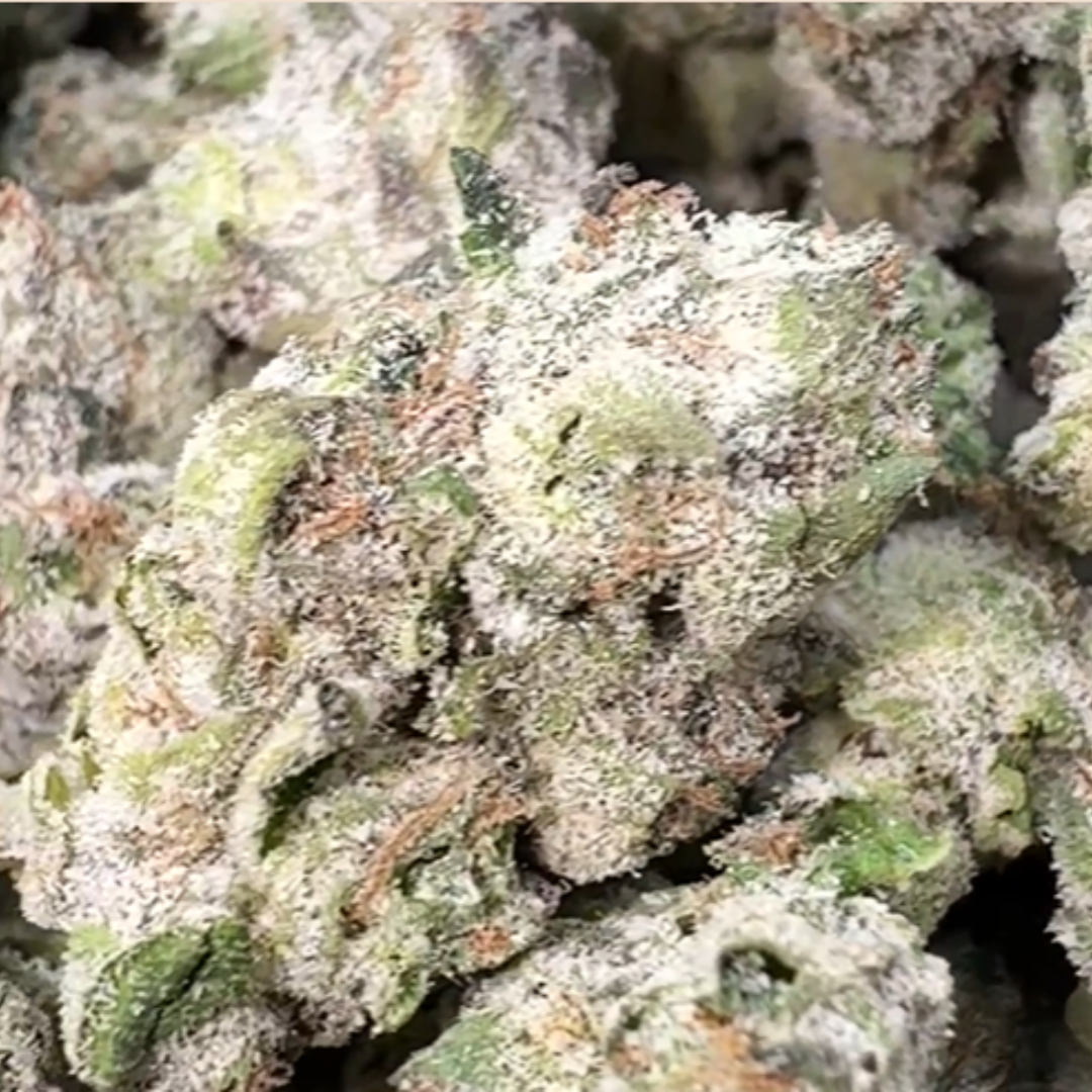 boutique exotics Lemon Dior - Bulk - Hybrid