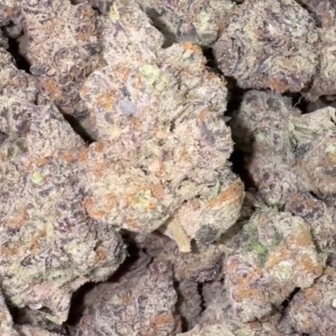 Snozz Berries - Bulk - Hybrid
