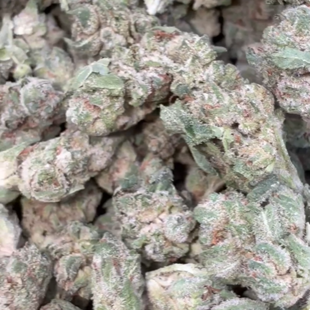 Elmers Glue Littles - Bulk Littles - Hybrid