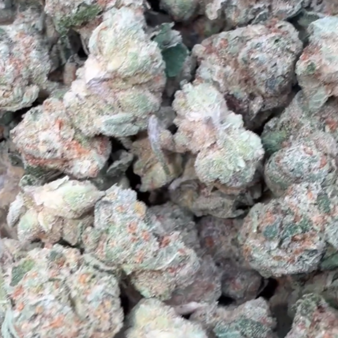 Barneys Biscotti Littles - Bulk Littles - Indica