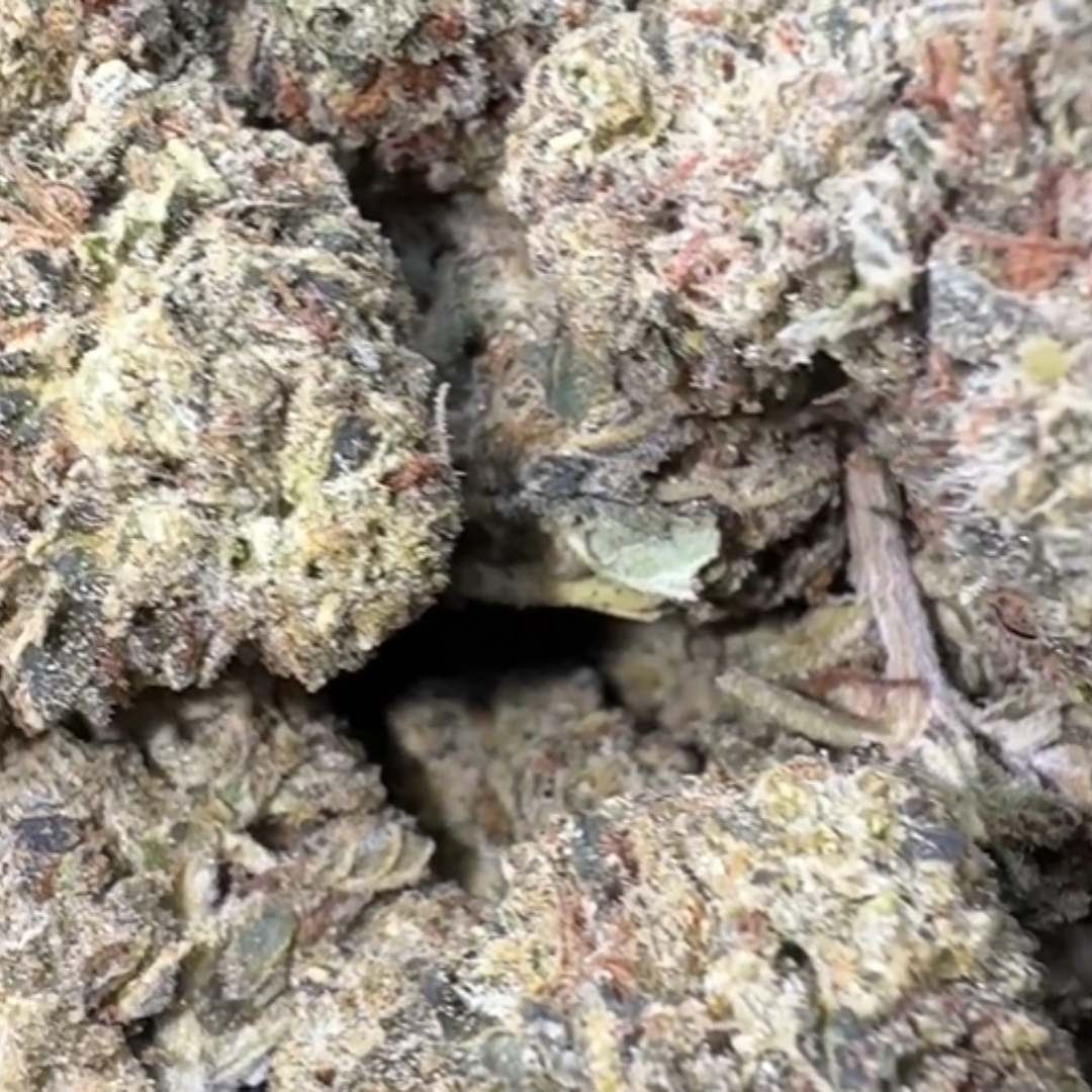 Sunset Sherbet - Bulk- Indica