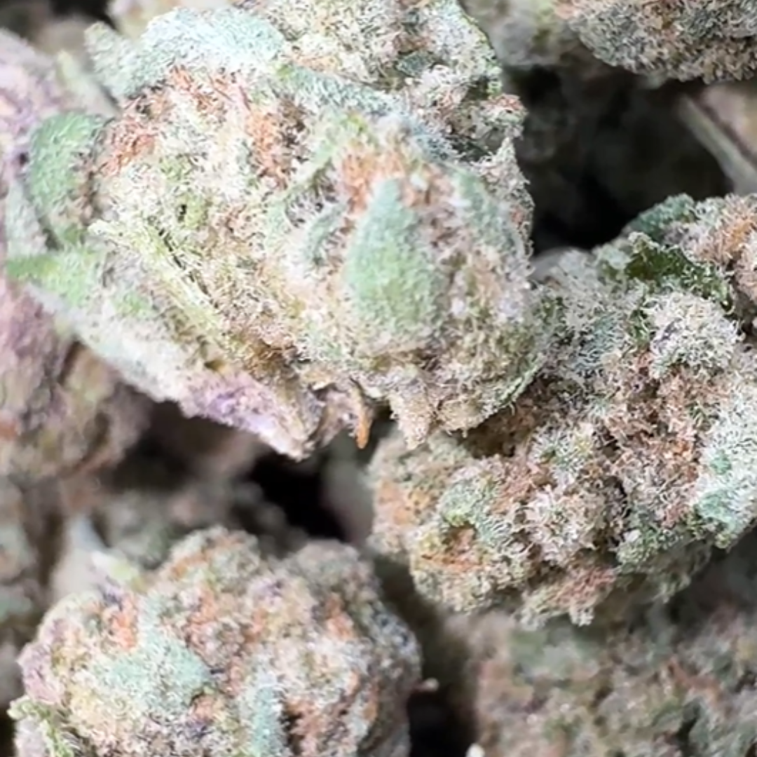 Frozen Dessert Minis - Bulk Minis - Indica