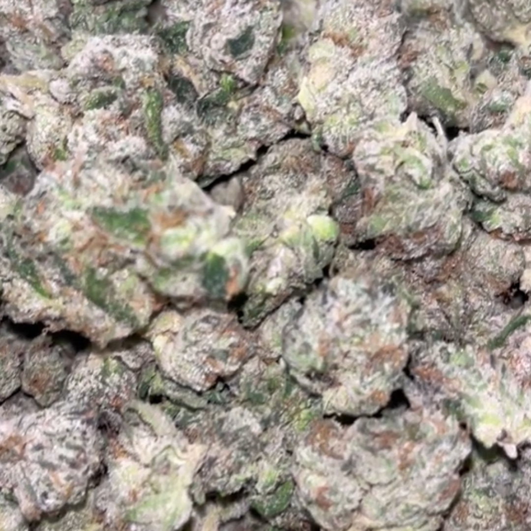 boutique exotics Coffin Candy - Bulk - Hybrid