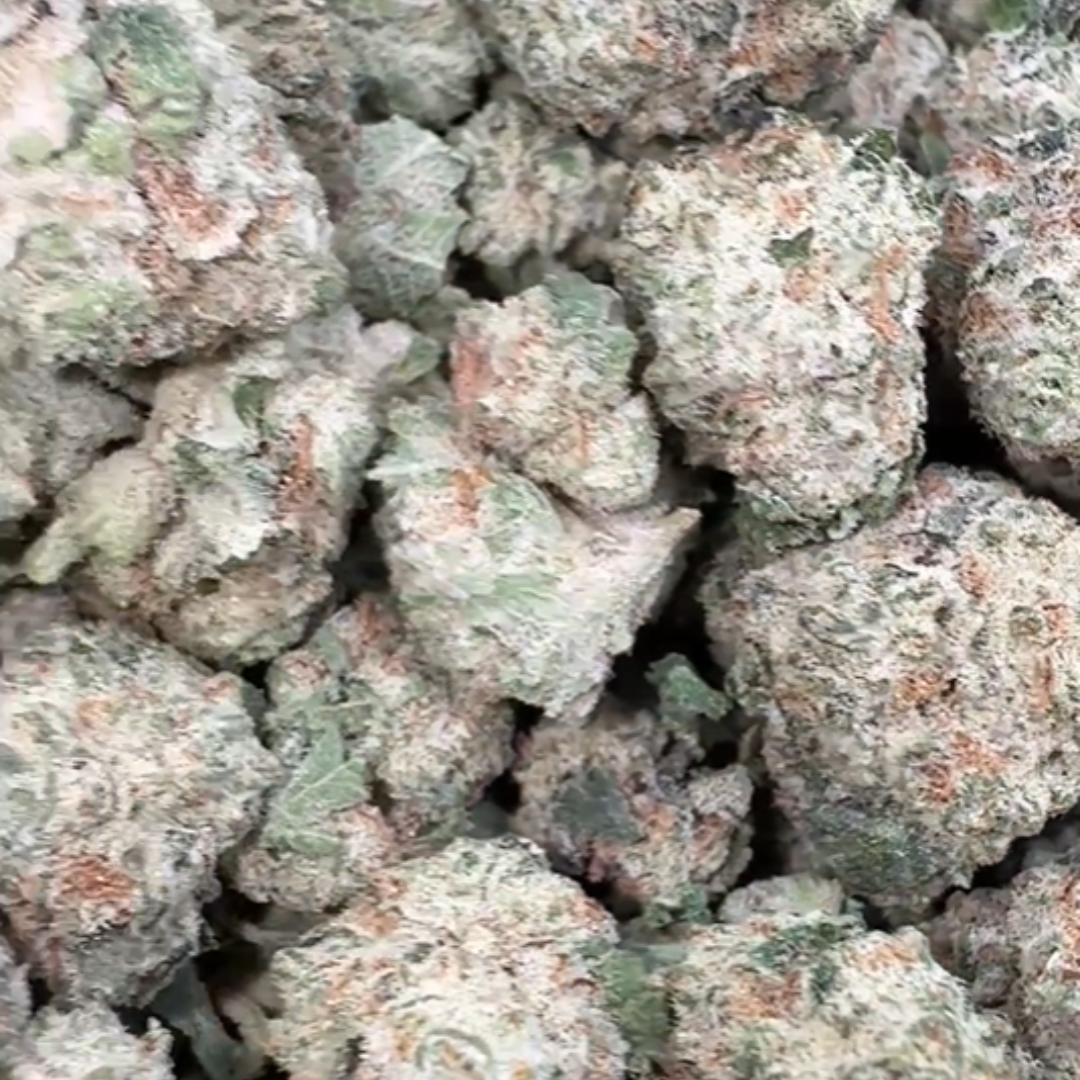 Kush Mintz Minis - Bulk Minis - Hybrid