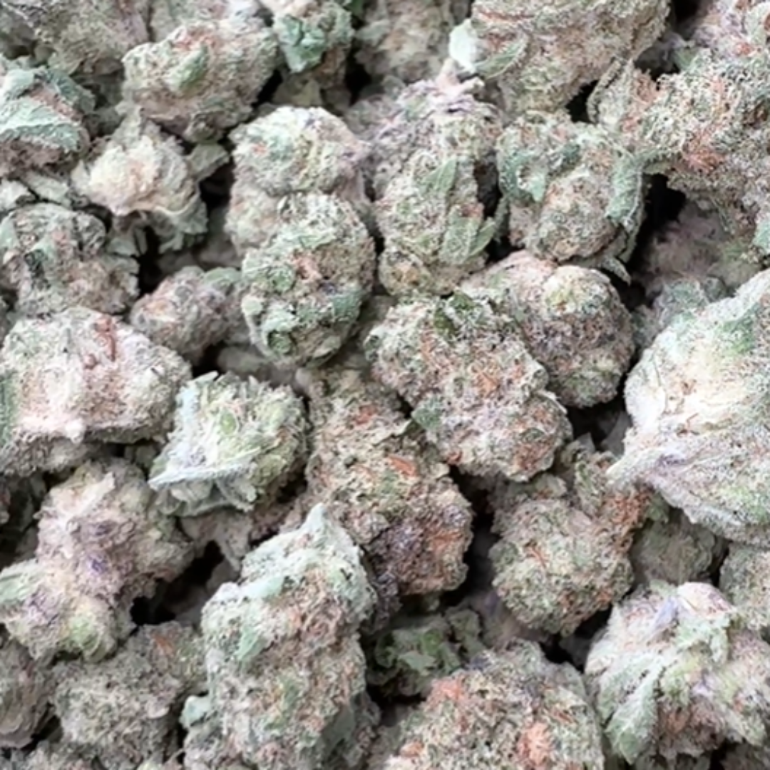 Peanut Butter Souffle Minis - Bulk Minis - Indica