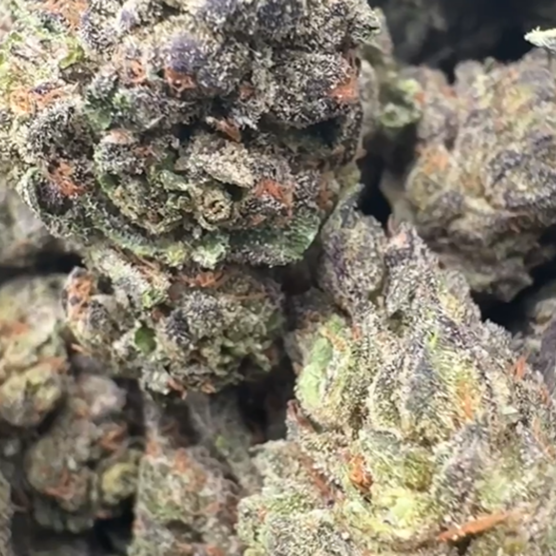 Birthday Cake - Bulk - (Indica)