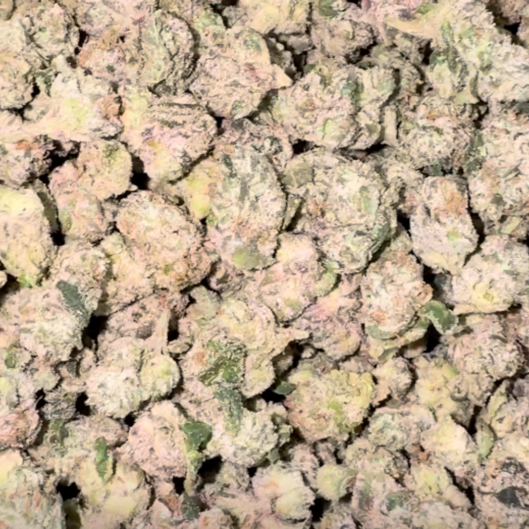 boutique exotics Berry Pop Minis - Bulk Minis- Hybrid