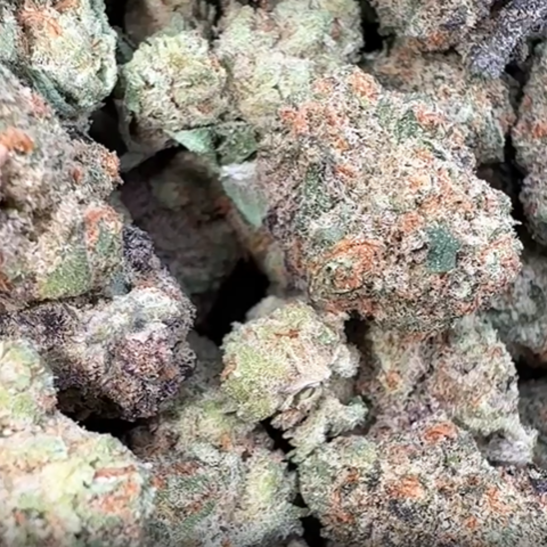 Horchata Gas Minis - Bulk Minis - Hybrid