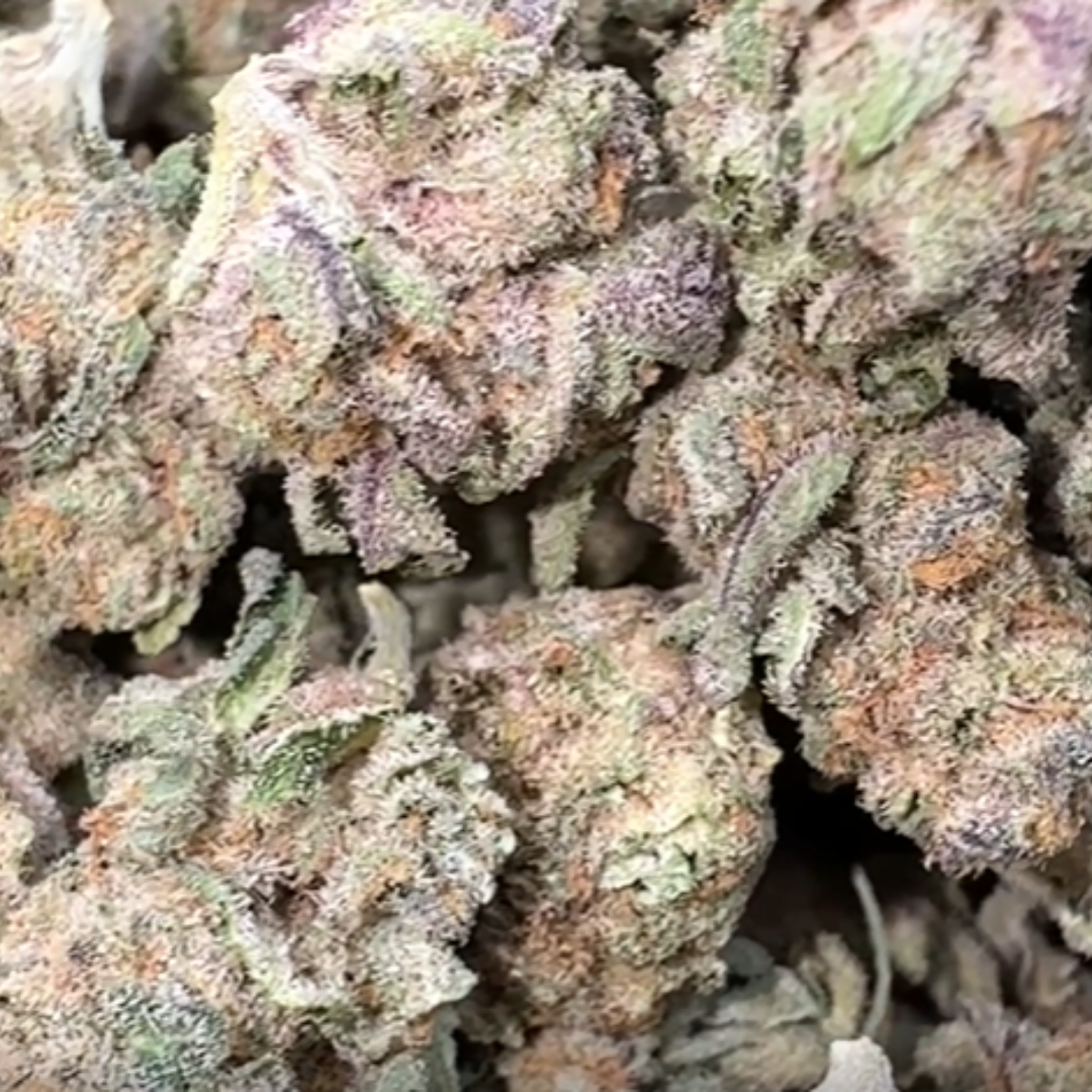 Nimbus Snacks Minis - Bulk Minis - Hybrid