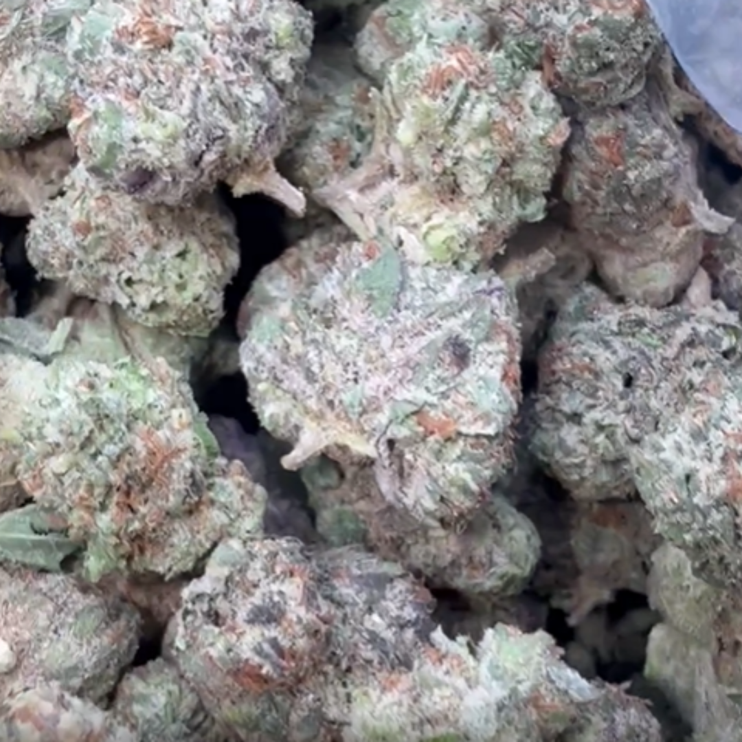 Jolly Ranchers Minis - Bulk Minis - Indica