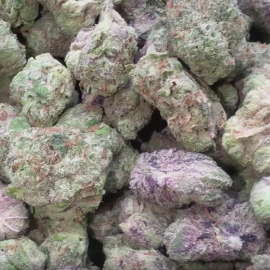 Frosted Pebbles Indoor Minis - Bulk Minis - Indica