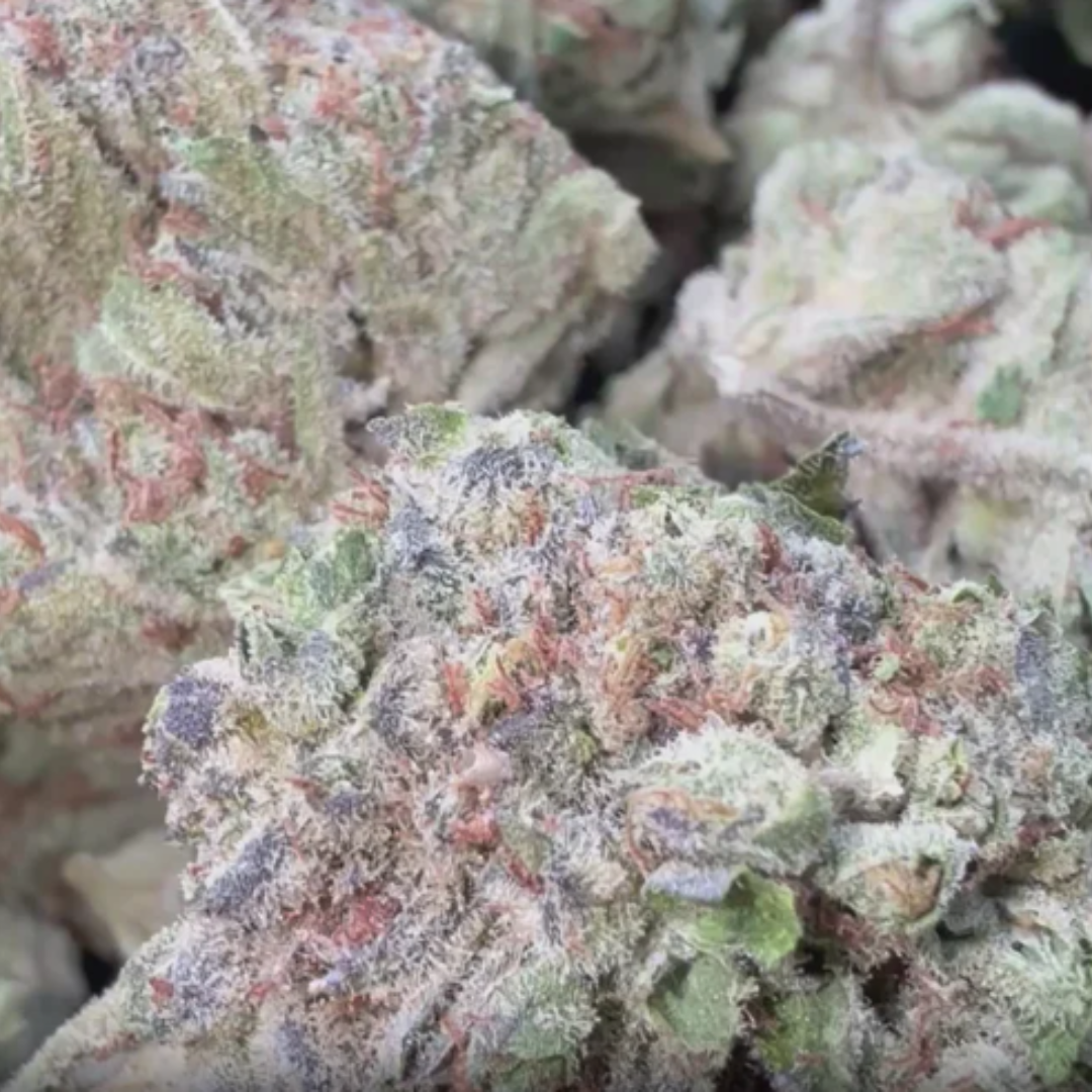 Chocolate Diesel - Bulk - Sativa