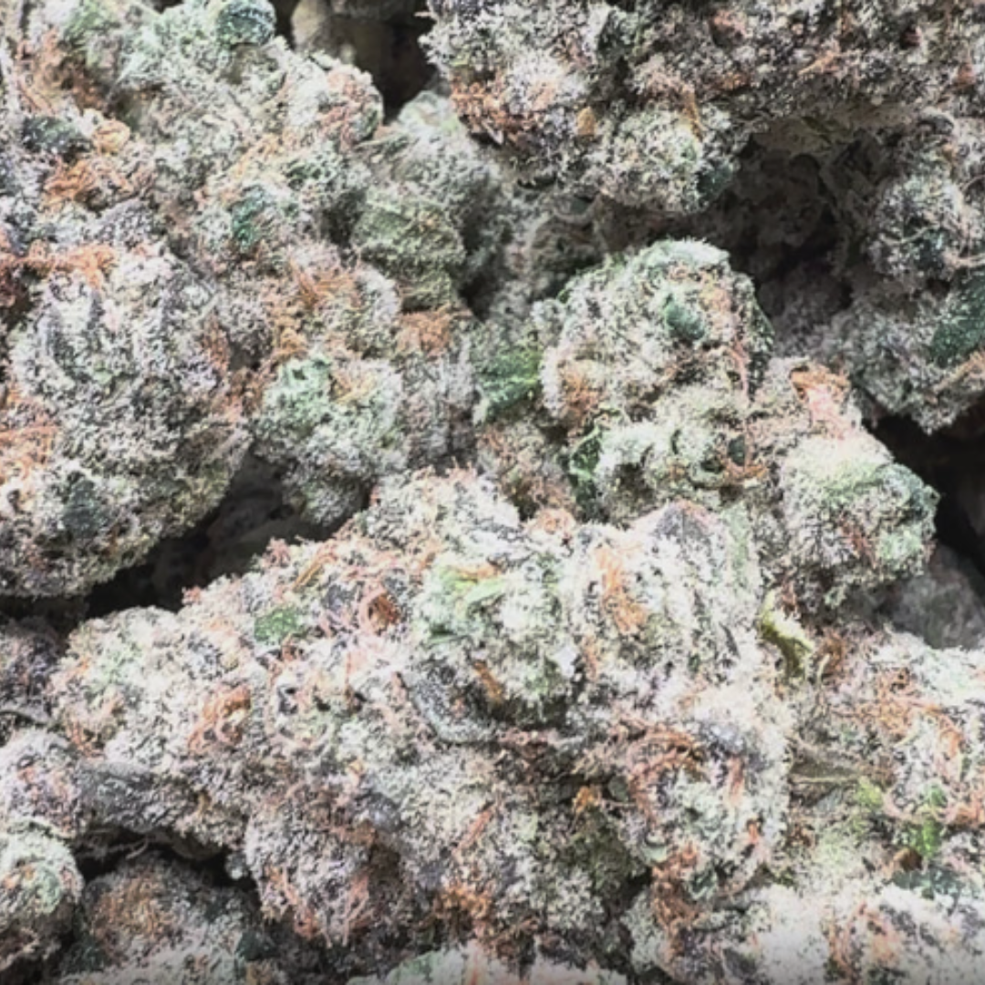 Boutique Exotics Yuzu Cherries - Bulk - Hybrid