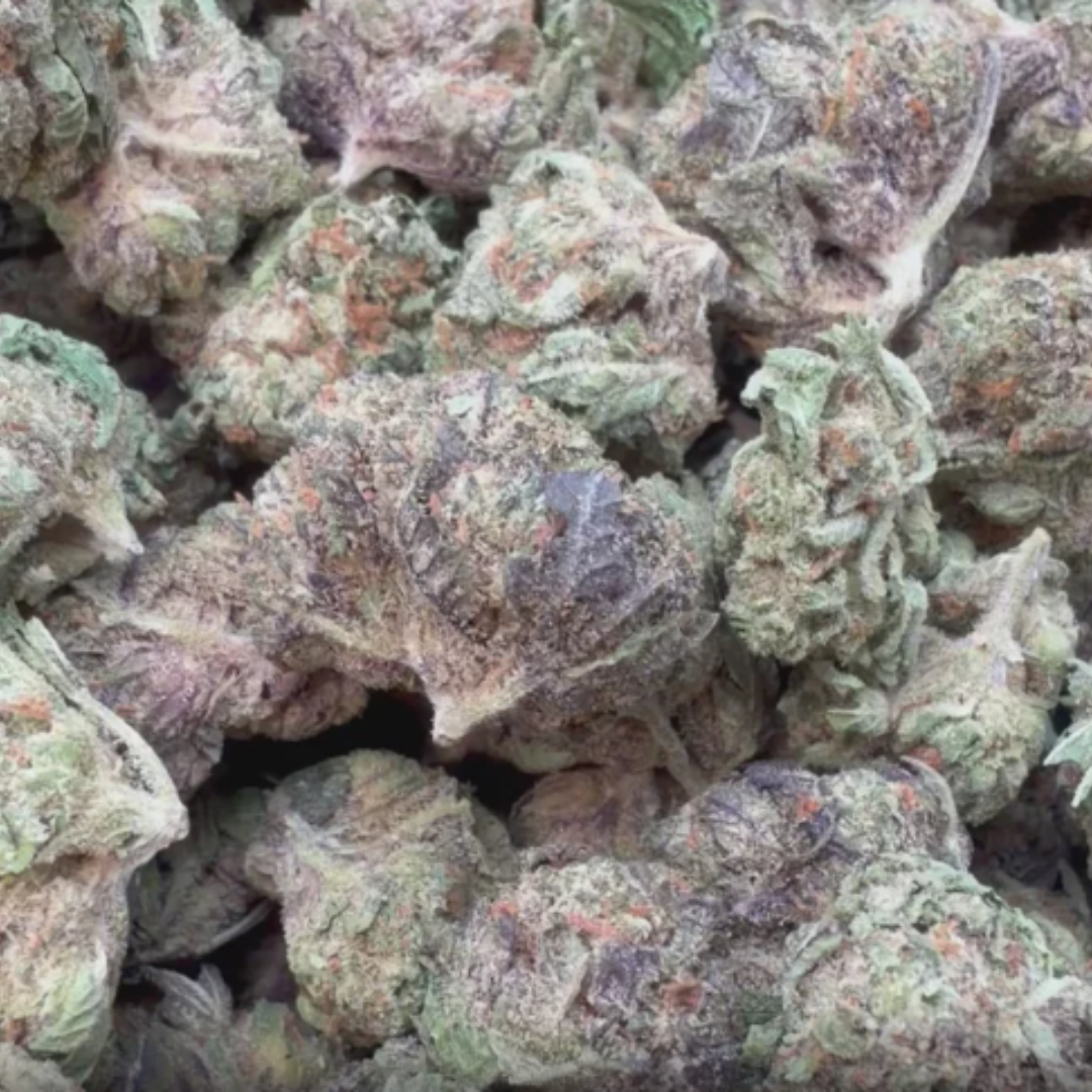 24K Gold Mediums - Bulk Mediums - Hybrid