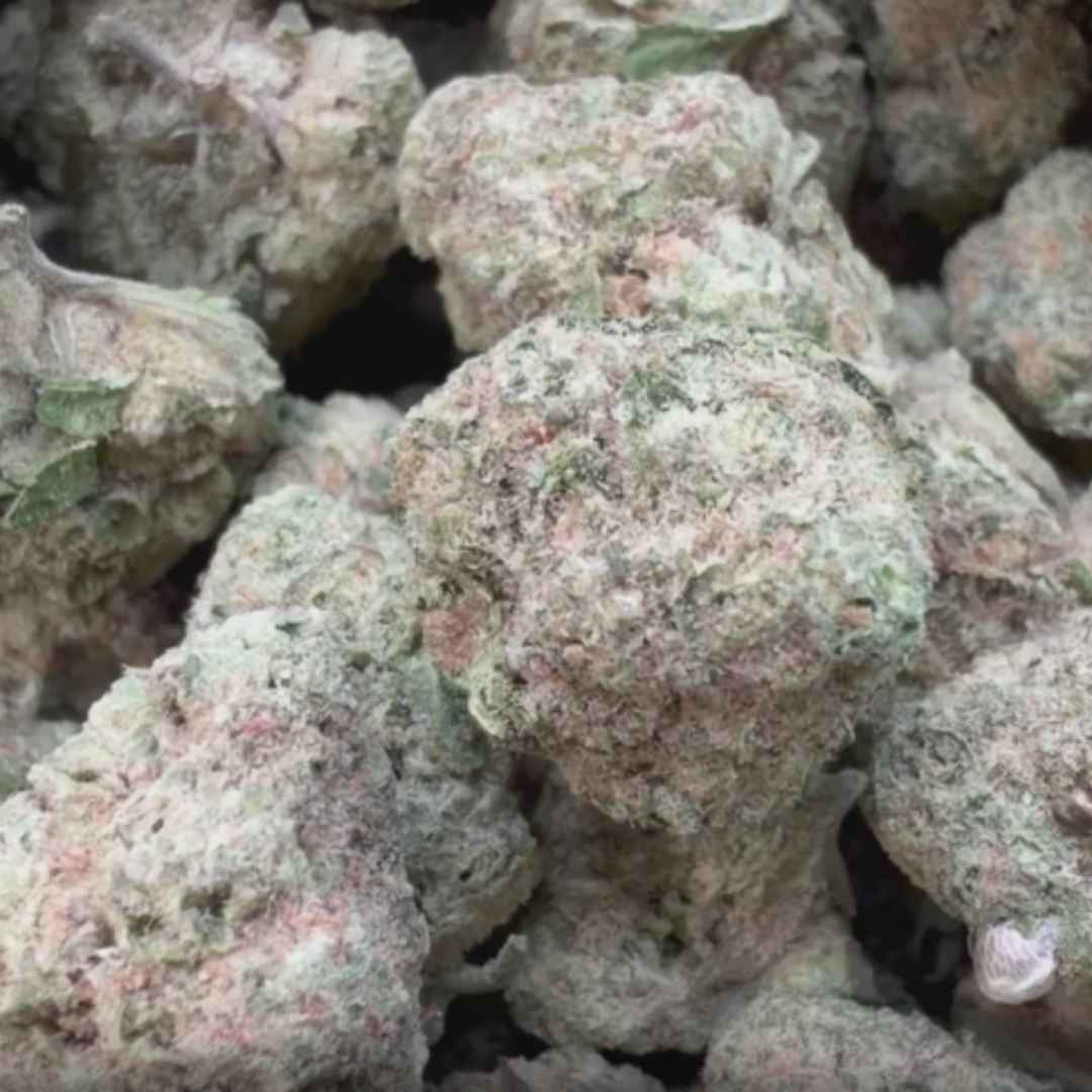 Grape Pie Mediums - Bulk Mediums - Indica