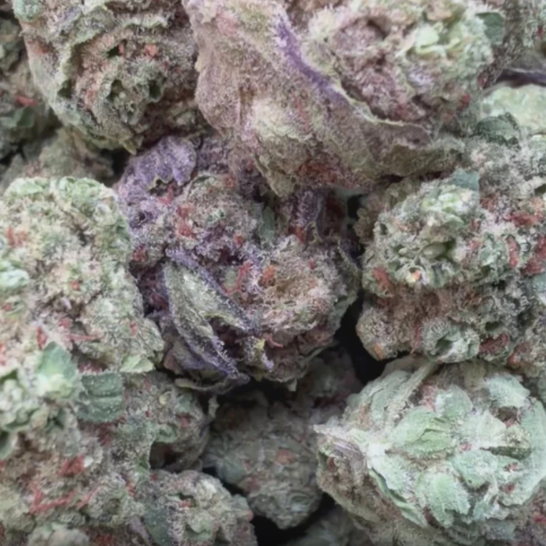 Black Cherry Cookies Mediums - Bulk Mediums - Hybrid