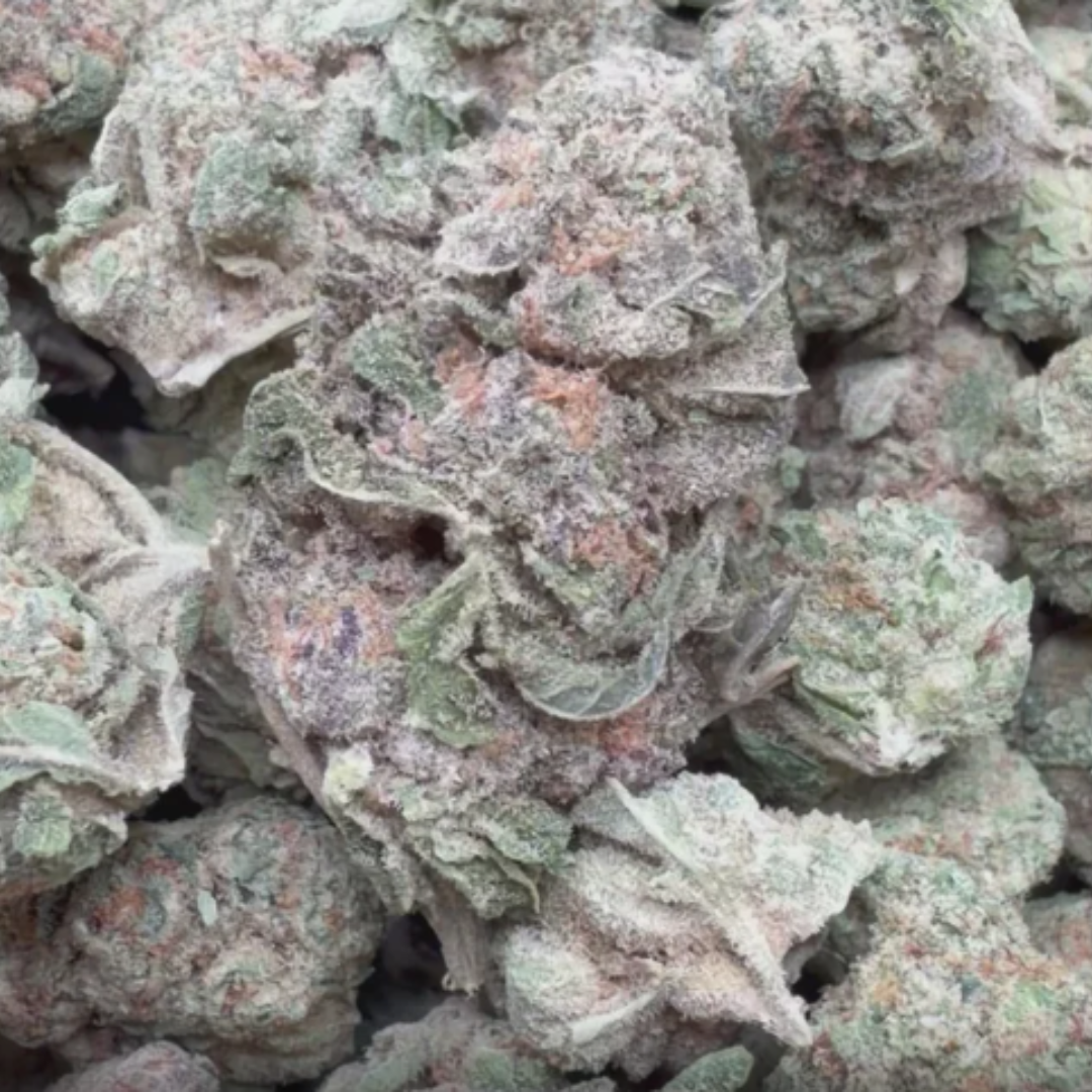 Durban Sweetz Mediums - Bulk Mediums - Sativa