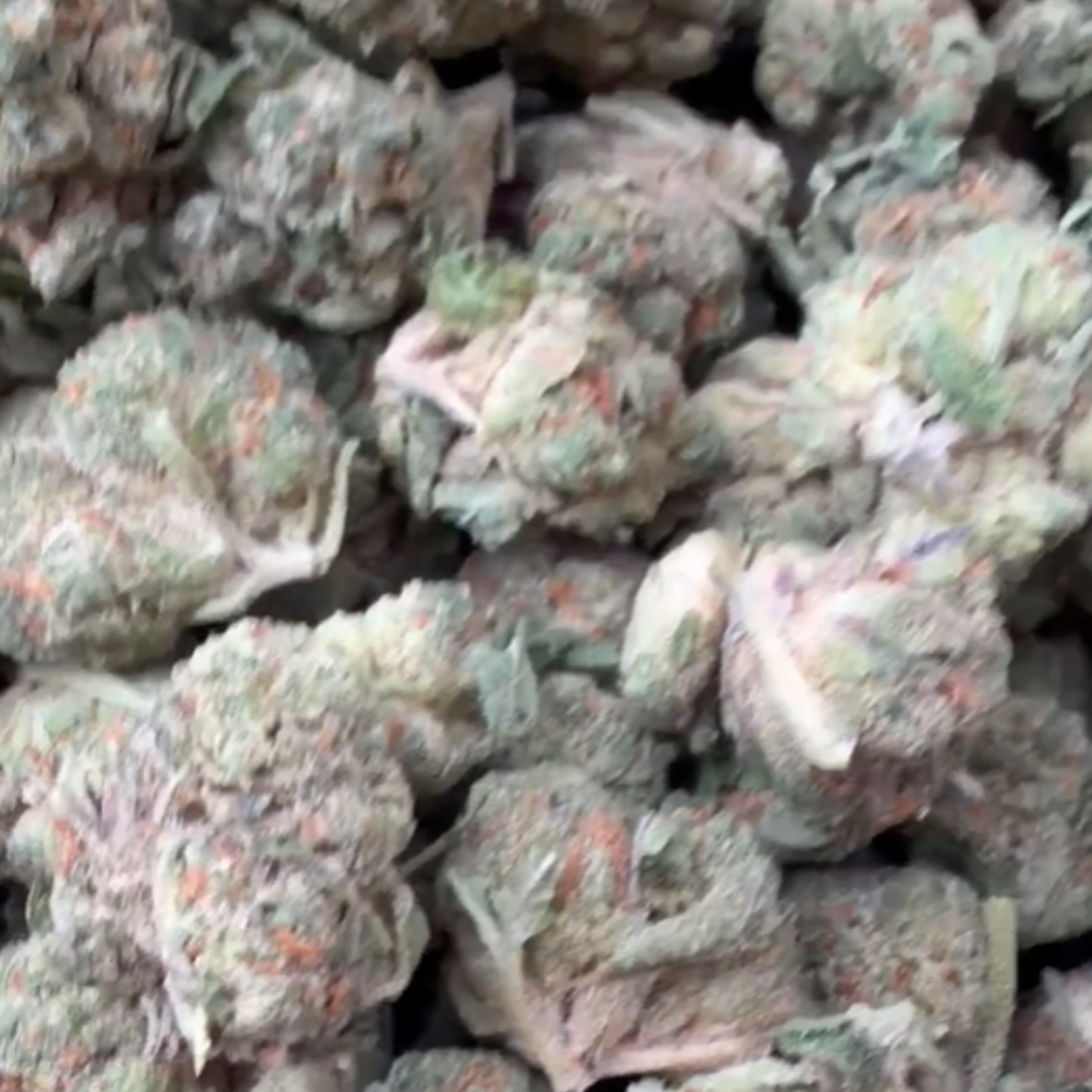 Jet Fuel Gelato Mediums - Bulk Mediums - Hybrid