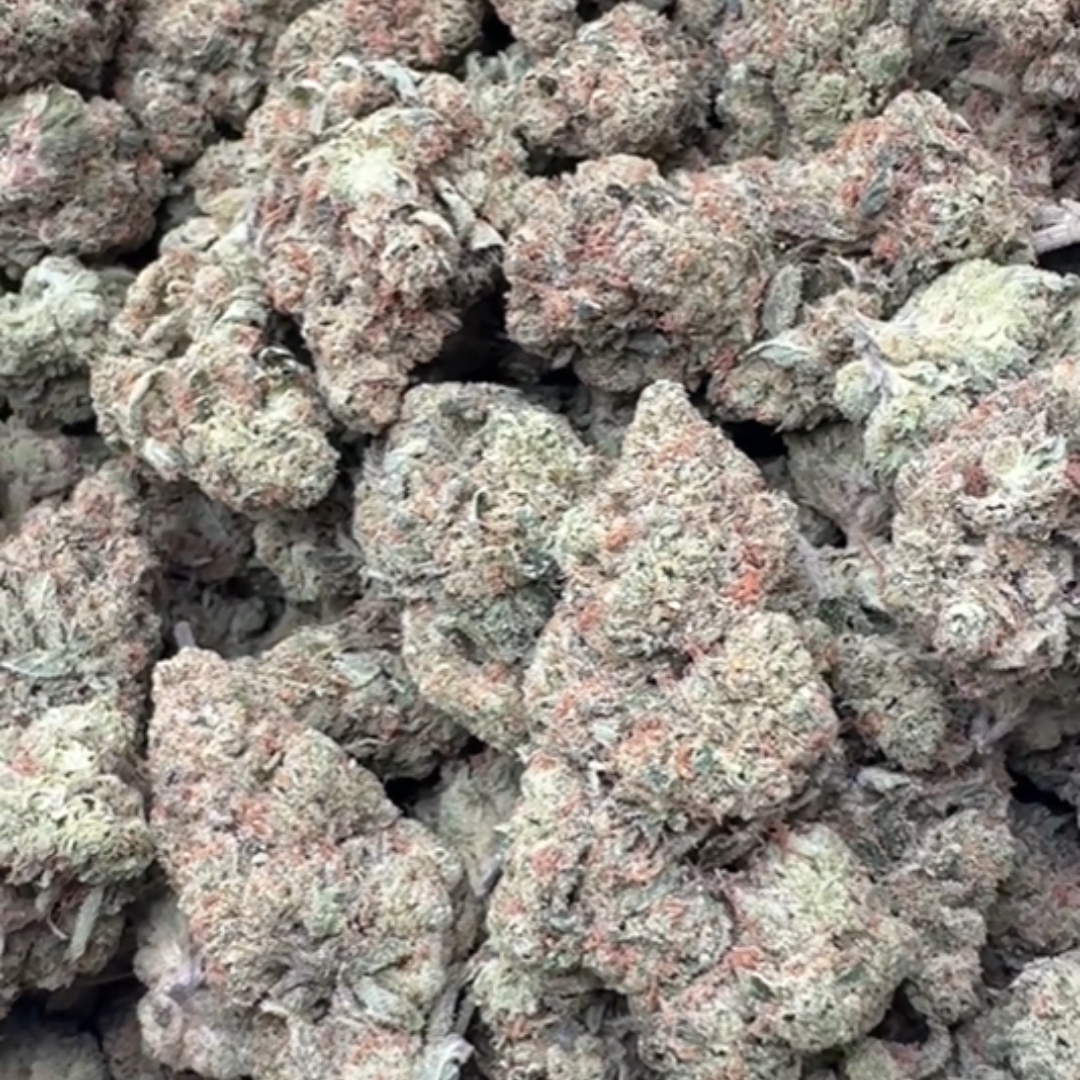 Gas Face - Bulk - (Indica)