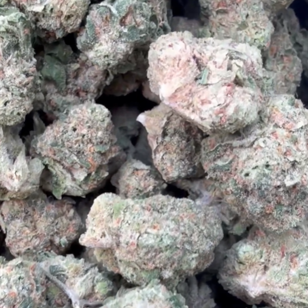 Blue Dream Mediums - Bulk Mediums - Sativa