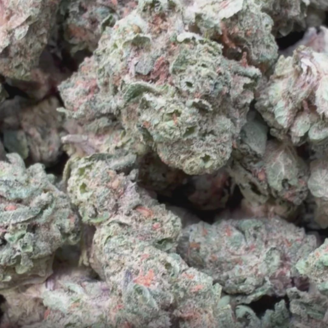 Gelato Kush Mediums - Bulk Mediums - Indica