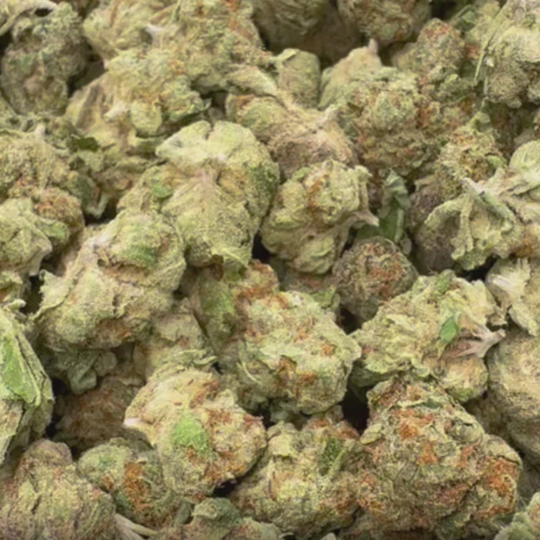 Snowman Mediums - Bulk Mediums - Hybrid