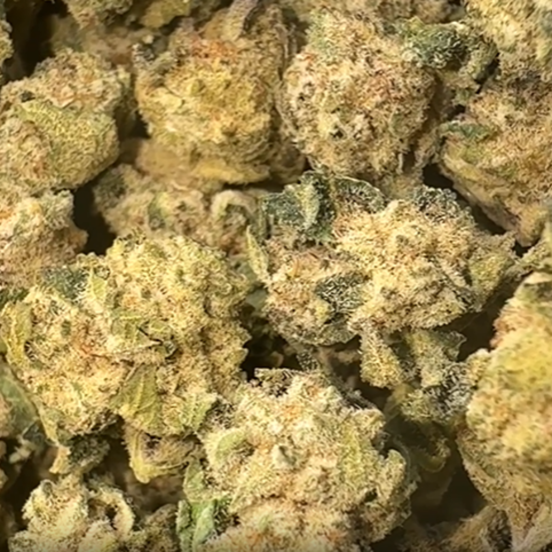 SinMint Cookies Minis - Bulk Minis - Indica