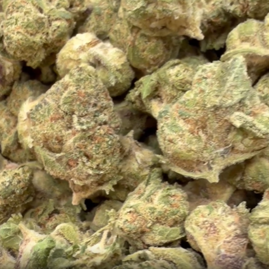 Do Si Dos Mediums - Bulk Mediums - Indica