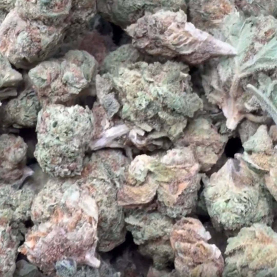 Warheads Mediums - Bulk Minis - Sativa