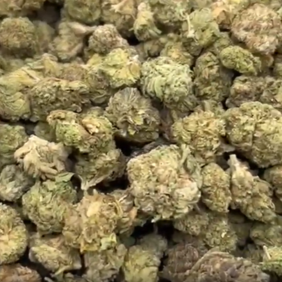 Pink Runtz Mediums - Bulk Mediums - Hybrid