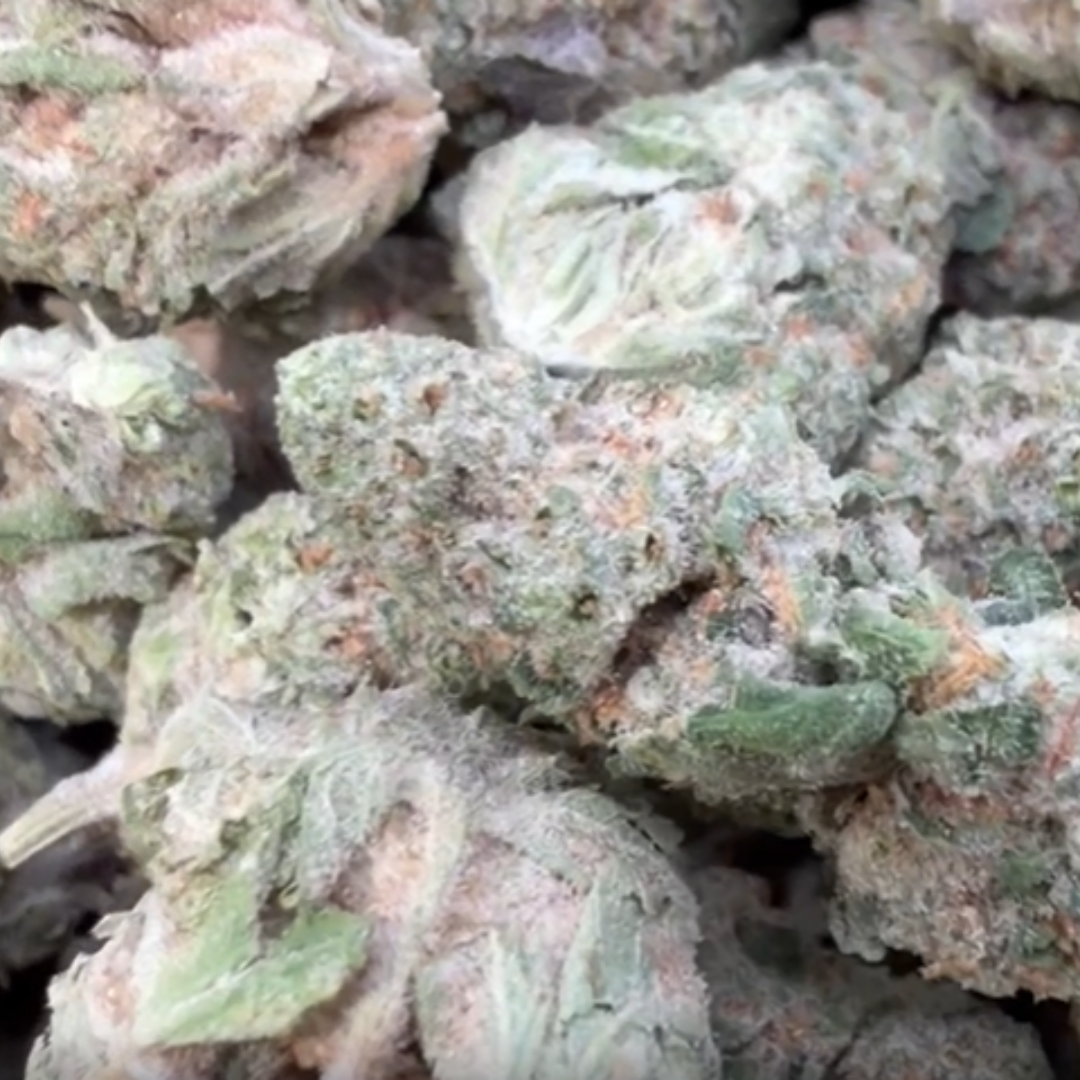 Super Lemon Haze Mediums - Bulk Mediums - Sativa