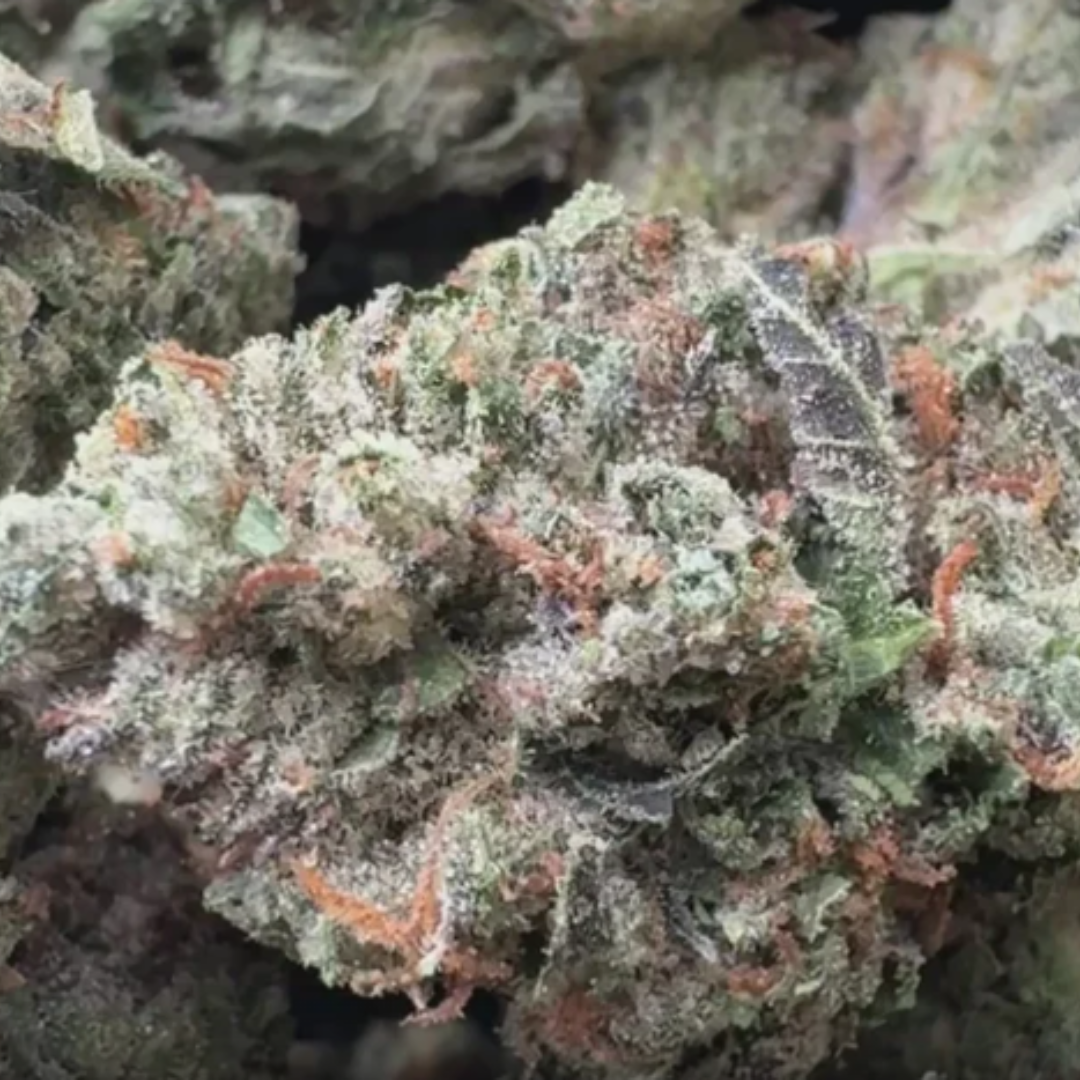 Venom OG - Bulk - Indica